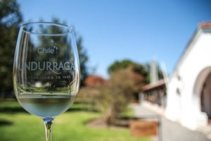 Undurraga Winery Tour