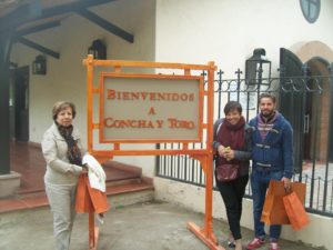 Route du vin Concha y Toro & Santa Rita