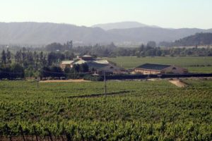 Casablanca Wine Tour