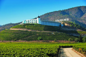 Casablanca Wine Tour