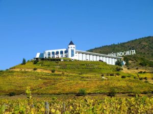 Winery Tour of Indomita and Veramontes