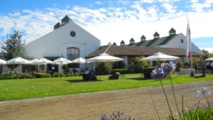 Winery Tour of Casas del Bosque and Veramontes