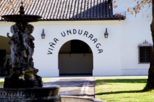 Concha y Toro & Undurraga Winery Tour