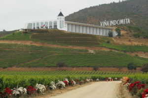 Winery tour of Viña Indomita in Casablanca, Indomita Winery Chile