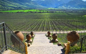Santa Cruz and the Vineyards of Colchagua